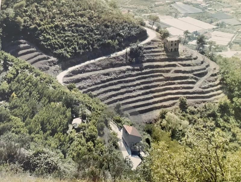 Terrain Réf. : X52112 à San Biagio della Cima - Photo 1